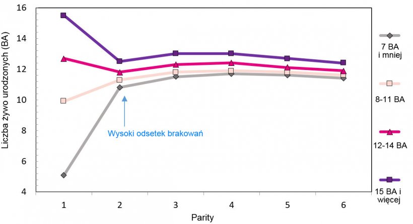 Graph 1. Production throughout the lifetime&nbsp;of the sow according to piglets born.

